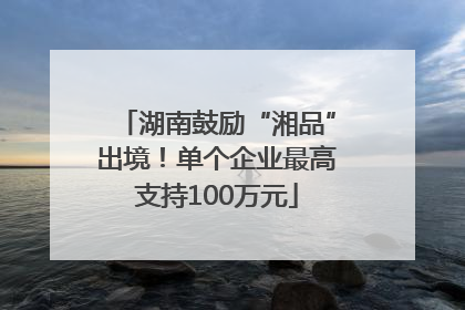湖南鼓励“湘品”出境！单个企业最高支持100万元